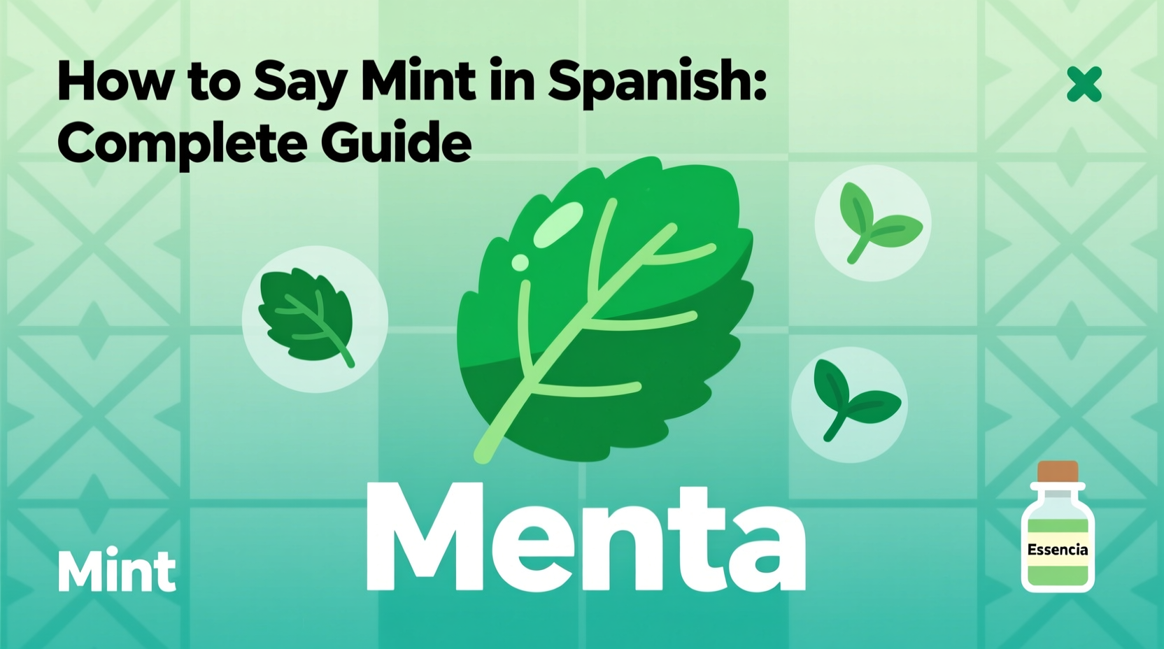 How to Say Mint in Spanish: Complete Guide