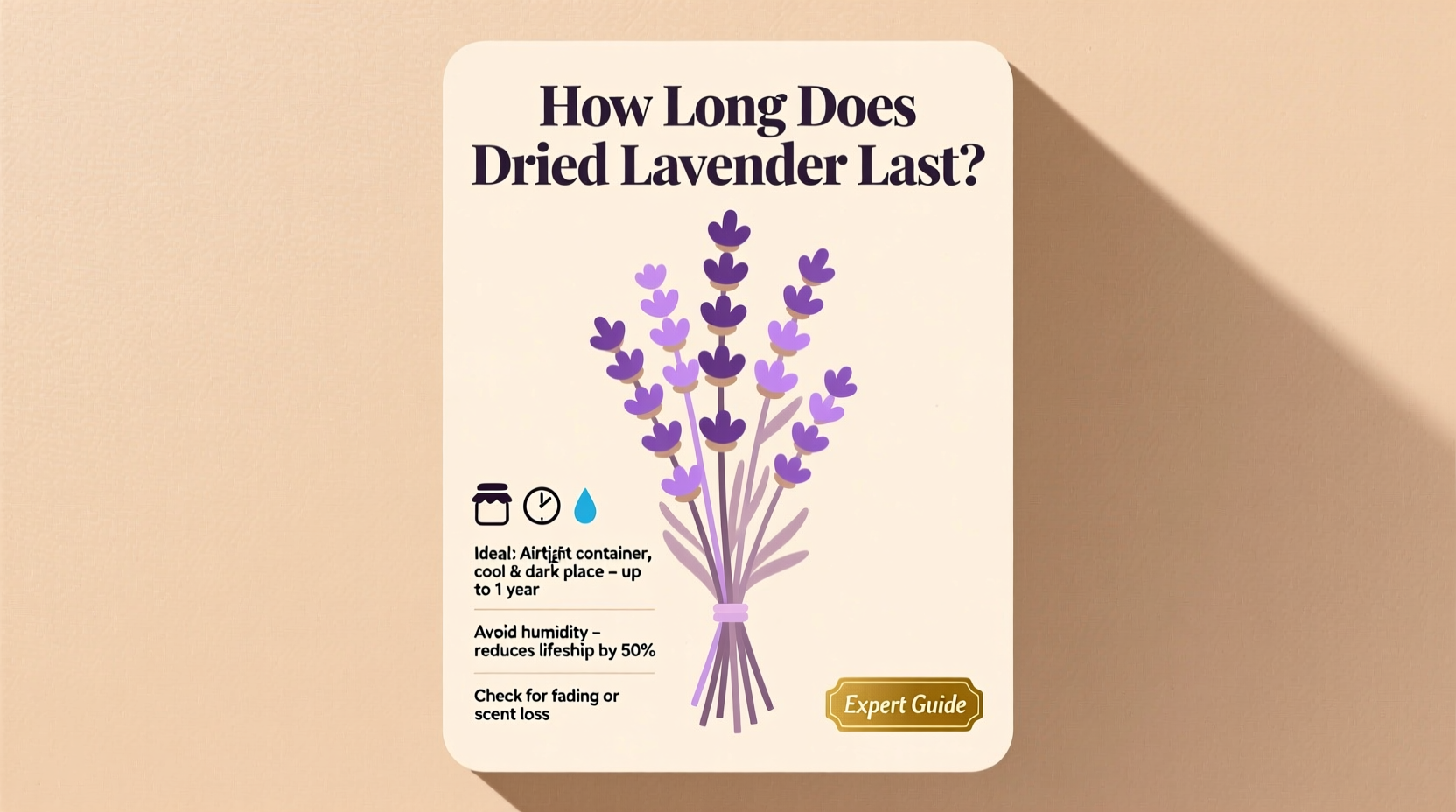 How Long Does Dried Lavender Last? Expert Guide