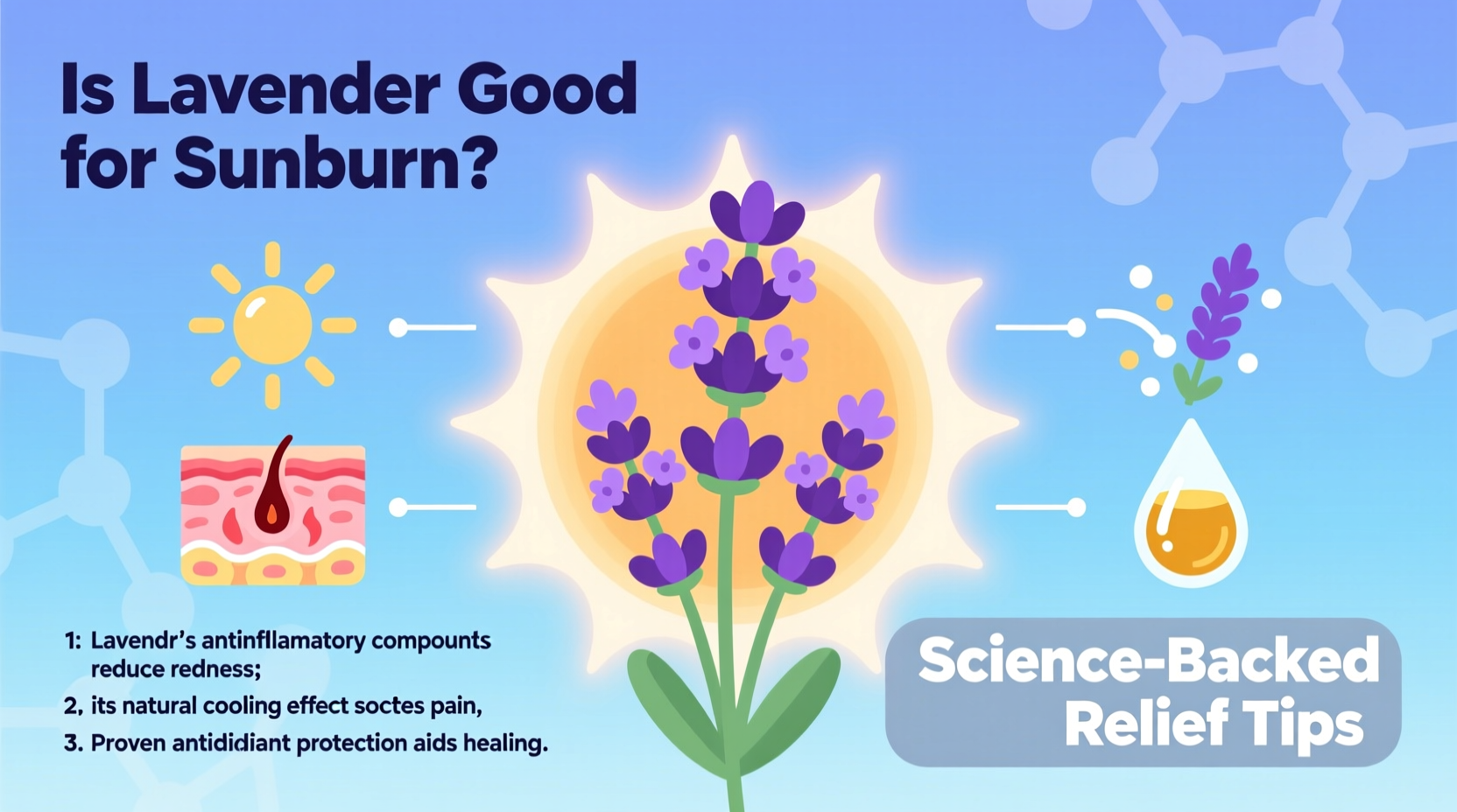 Is Lavender Good for Sunburn? Science-Backed Relief Tips