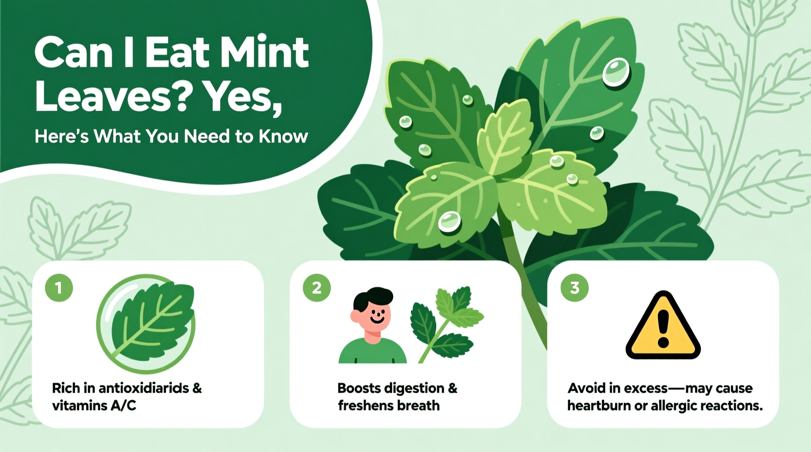 Can I Eat Mint Leaves? Yes, Here's What You Need to Know