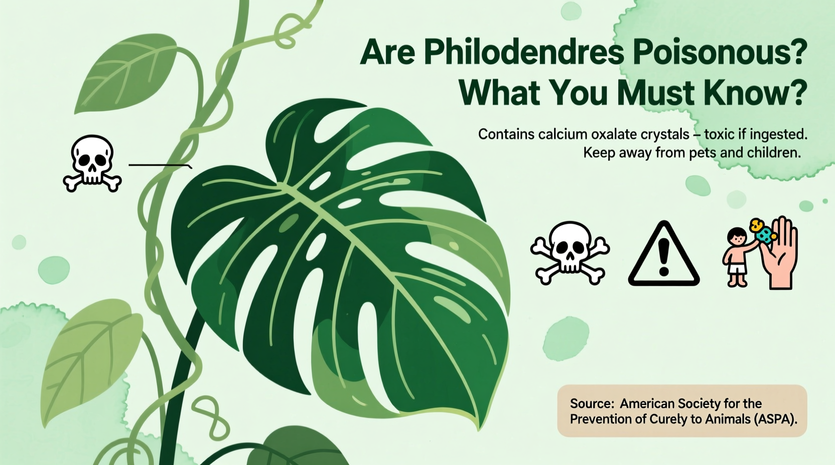 Are Philodendrons Poisonous? What You Must Know