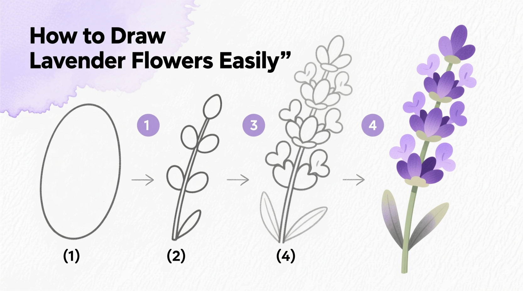 How to Draw Lavender Flowers Easily