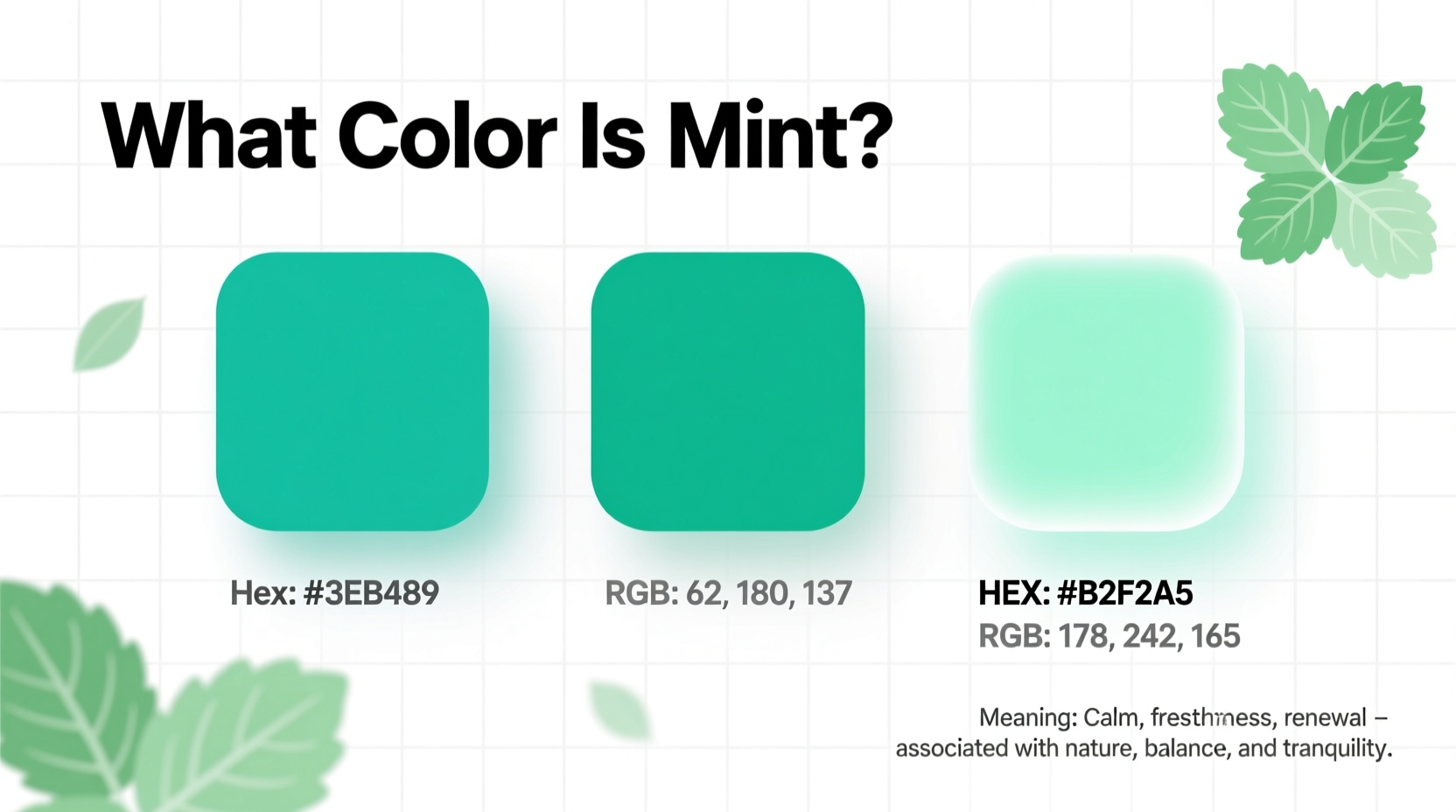 What Color Is Mint? Hex, RGB & Meaning