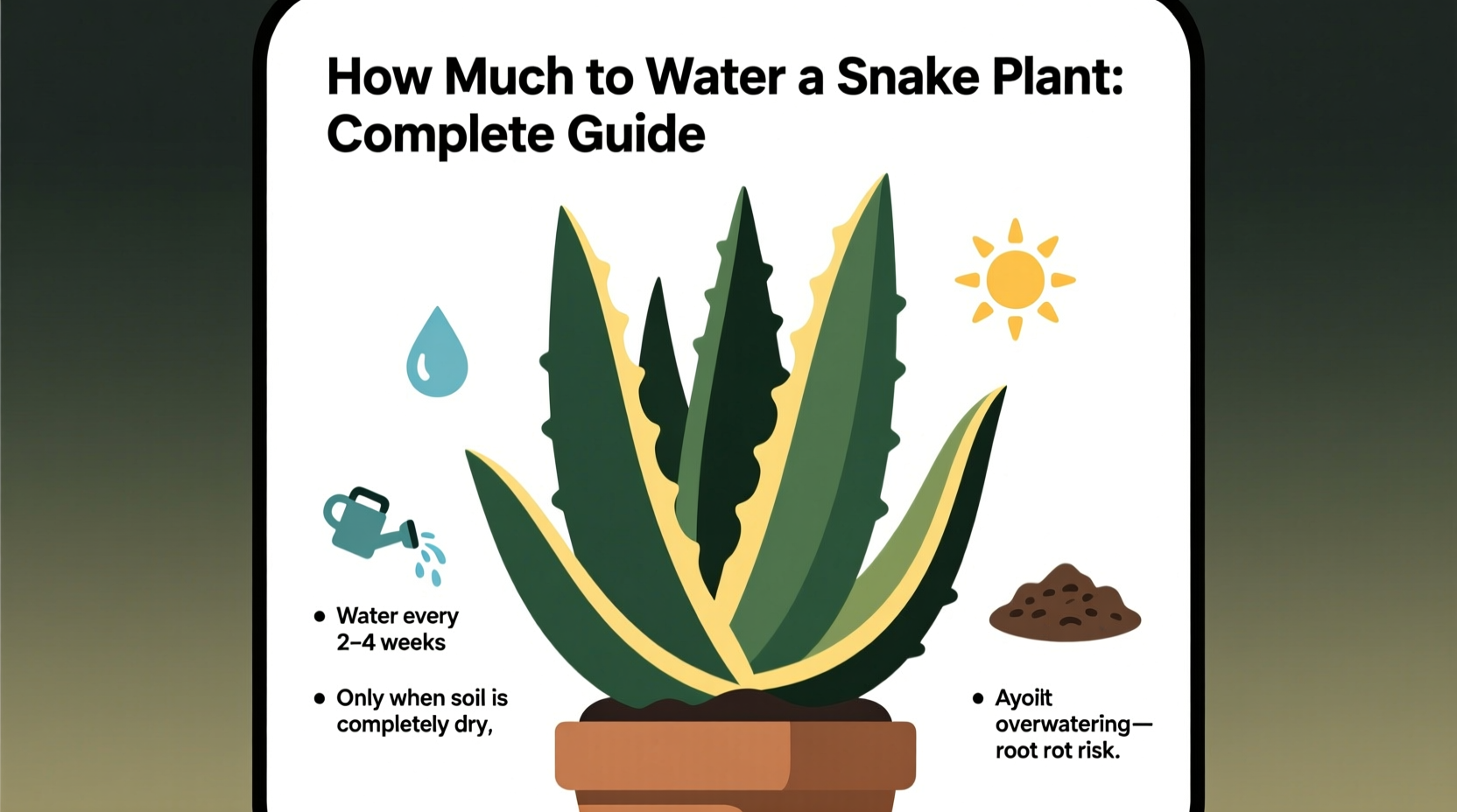 How Much to Water a Snake Plant: Complete Guide