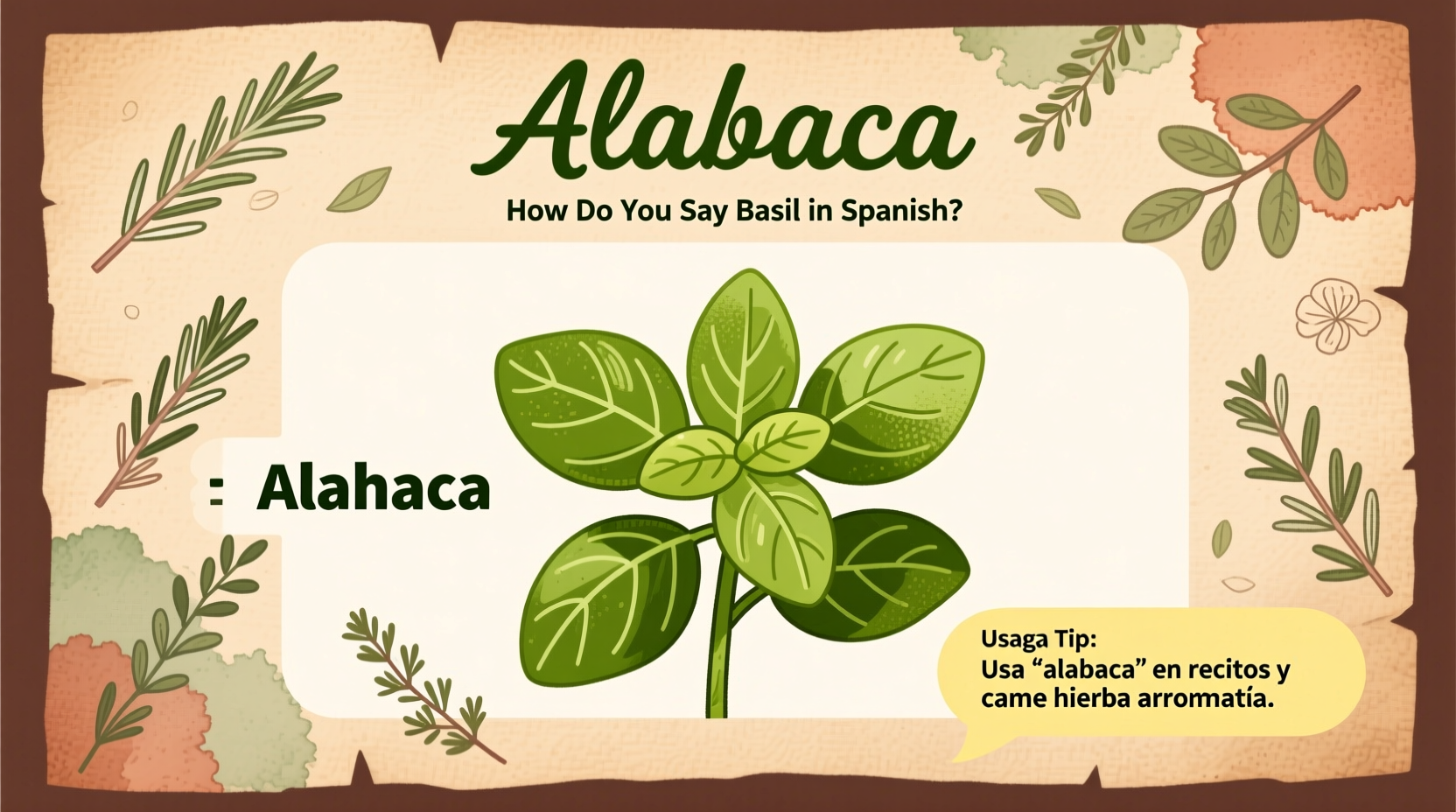 How Do You Say Basil in Spanish? Answer & Usage Tips