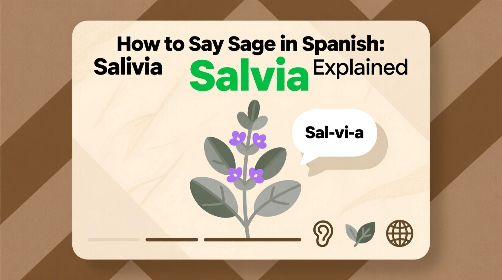 How to Say Sage in Spanish: Salvia Explained