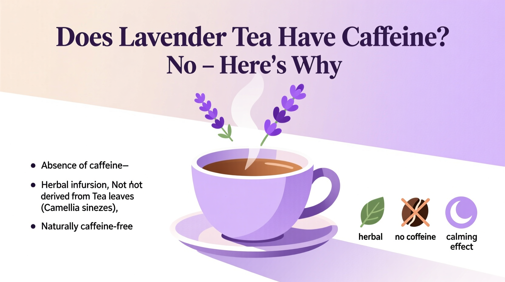 Does Lavender Tea Have Caffeine? No – Here's Why