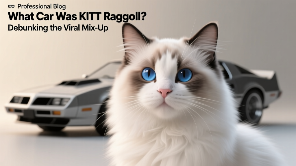What Car Was KITT Ragdoll? Debunking the Viral Mix-Up: Why There’s No ‘KITT’ Ragdoll Car—and What You *Actually* Need to Know About Ragdoll Cats, Naming, and Pop-Culture Pet Myths
