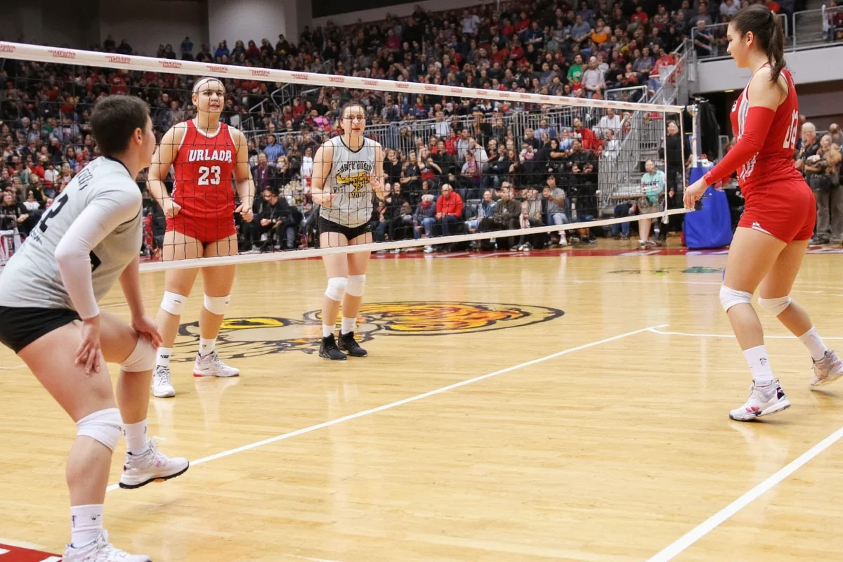 How High Is a Volleyball Net? Official Heights by Level