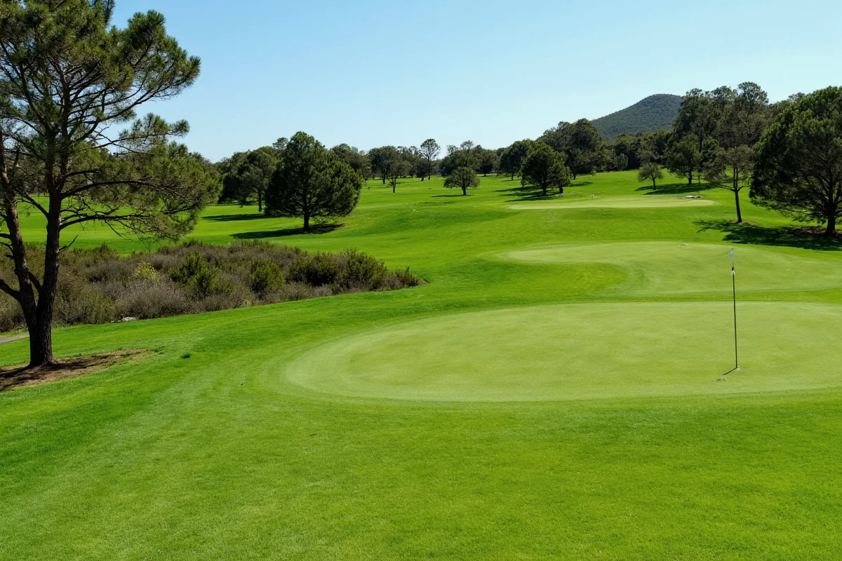 Why Golf Has 18 Holes: History & Standard Explained