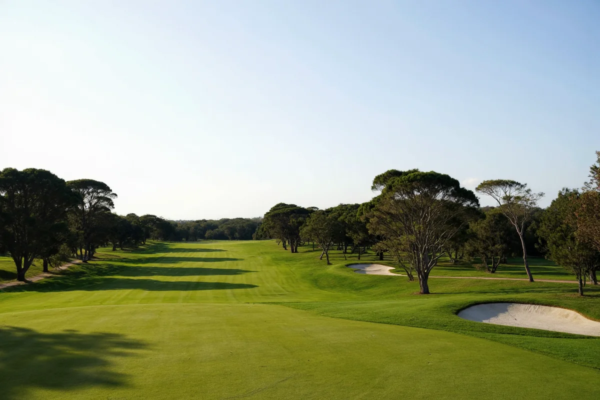 Who Is Playing in the Celebrity Golf Tournament 2024?