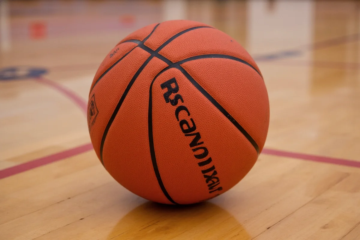 Picture of a Basketball: Features & Uses