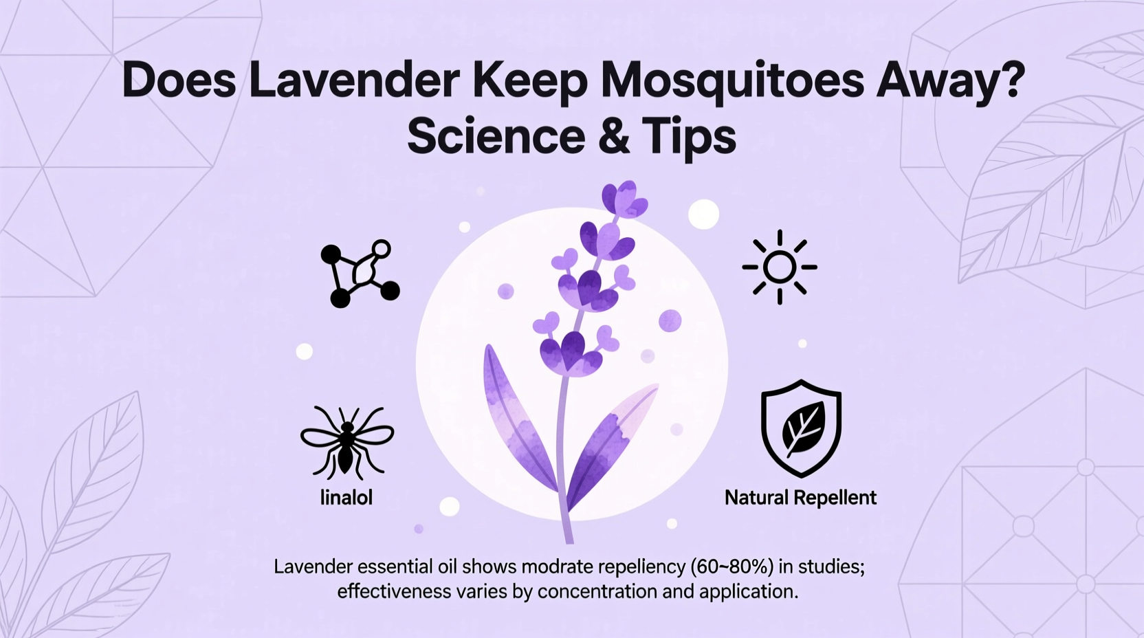 Does Lavender Keep Mosquitoes Away? Science & Tips