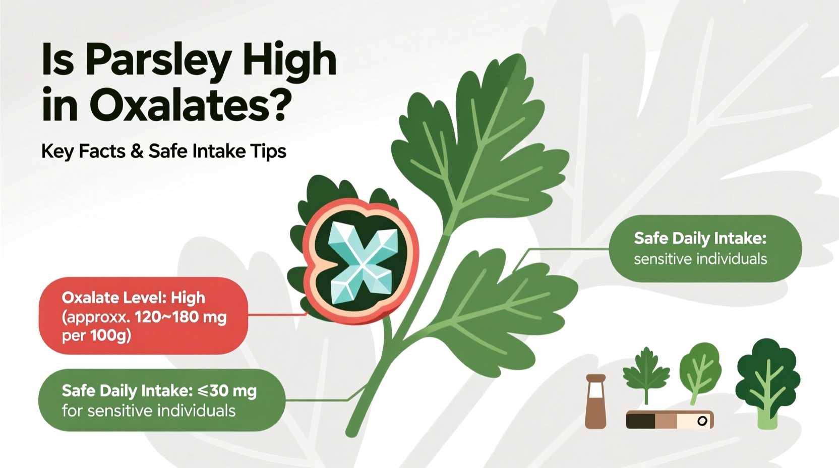 Is Parsley High in Oxalates? Key Facts & Safe Intake Tips