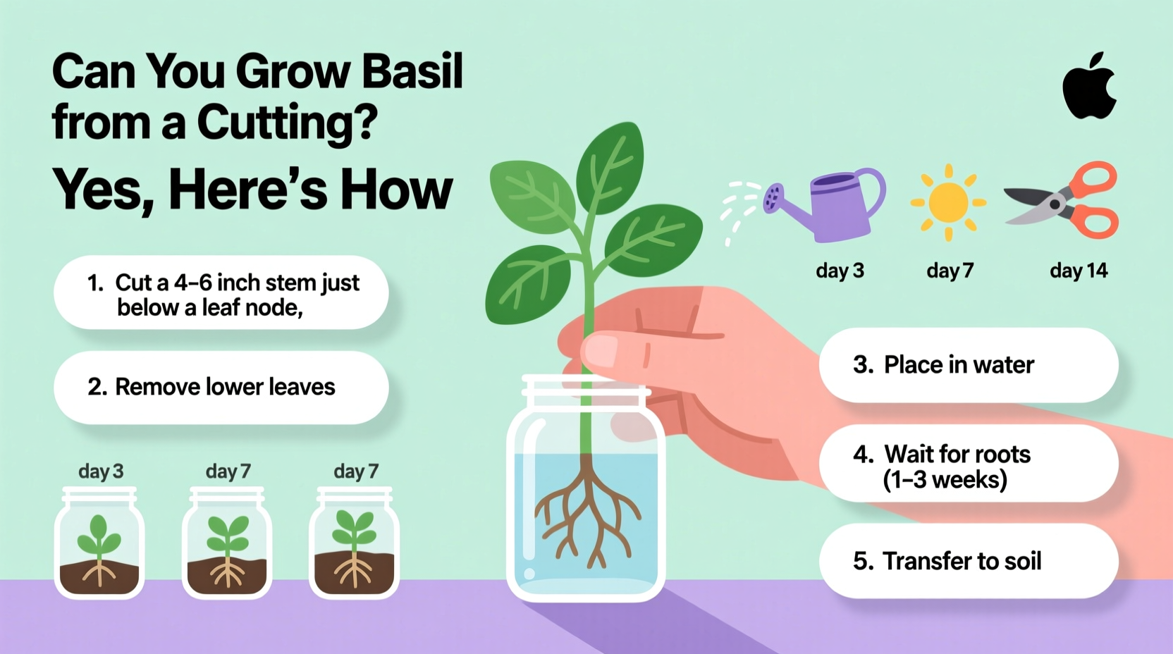 Can You Grow Basil from a Cutting? Yes, Here's How