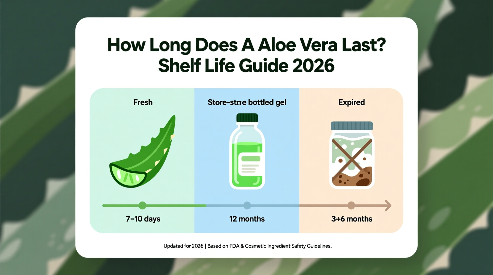 How Long Does Aloe Vera Last? Shelf Life Guide 2026
