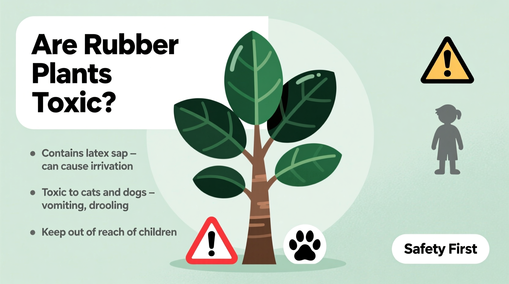 Are Rubber Plants Toxic? Safety Guide for Pets & Kids