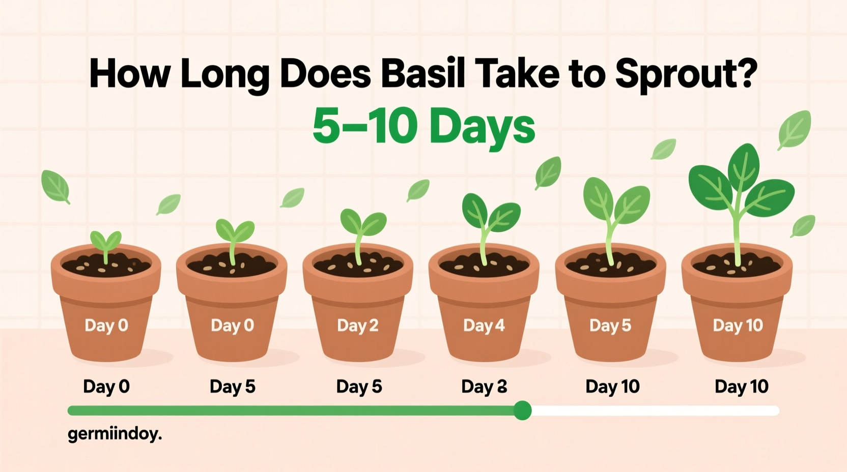 How Long Does Basil Take to Sprout? (5–10 Days)
