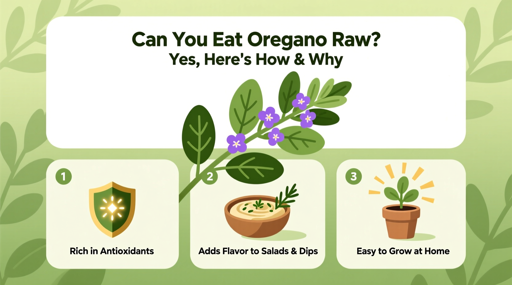 Can You Eat Oregano Raw? Yes, Here's How & Why