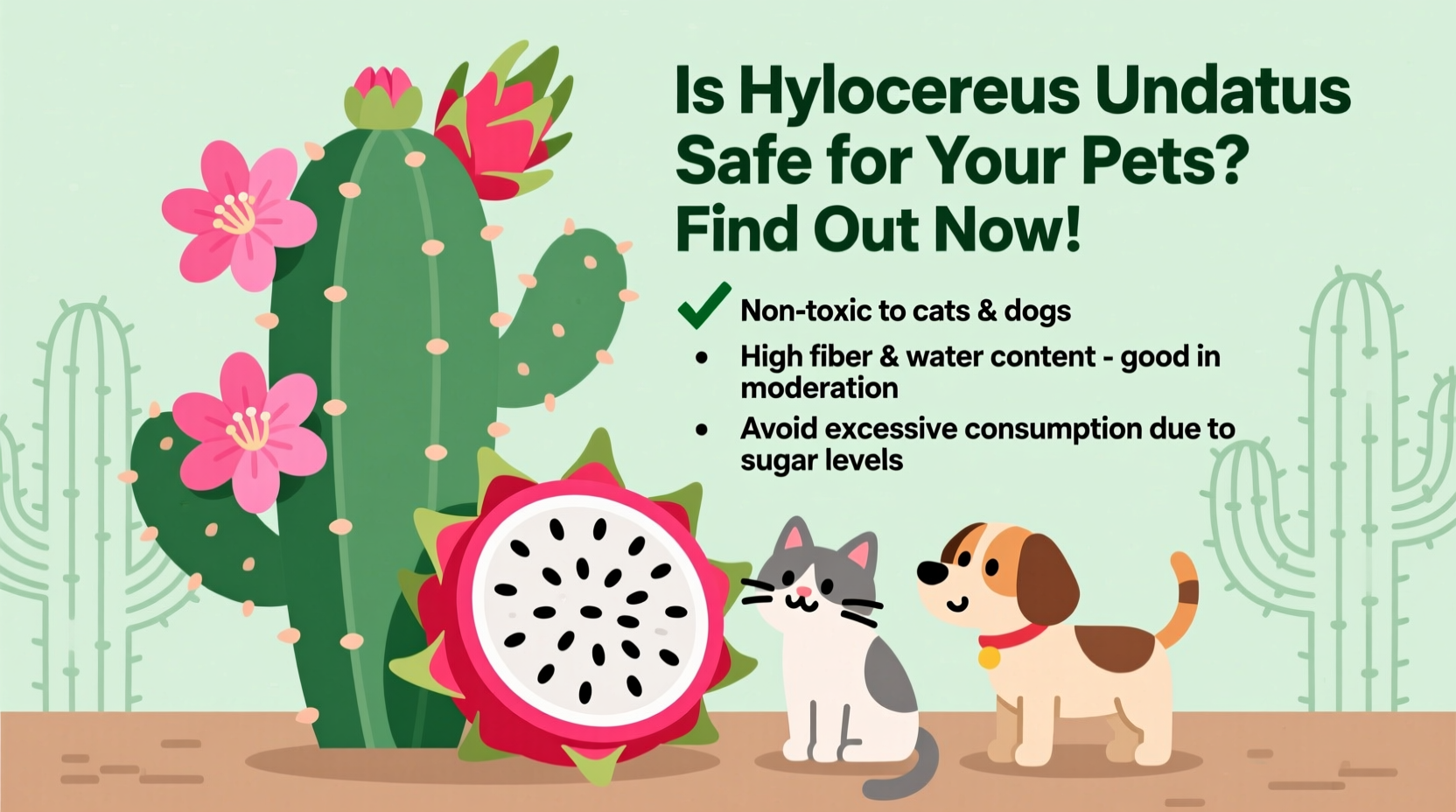 Is Dragon Fruit Safe for Pets? | TheHomeSprouts