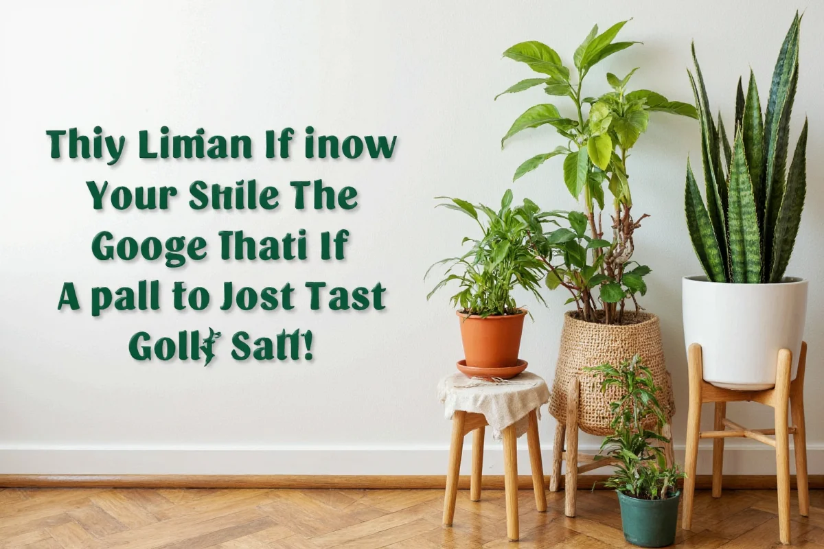 7 Air-Purifying Plants for Your Home | TheHomeSprouts