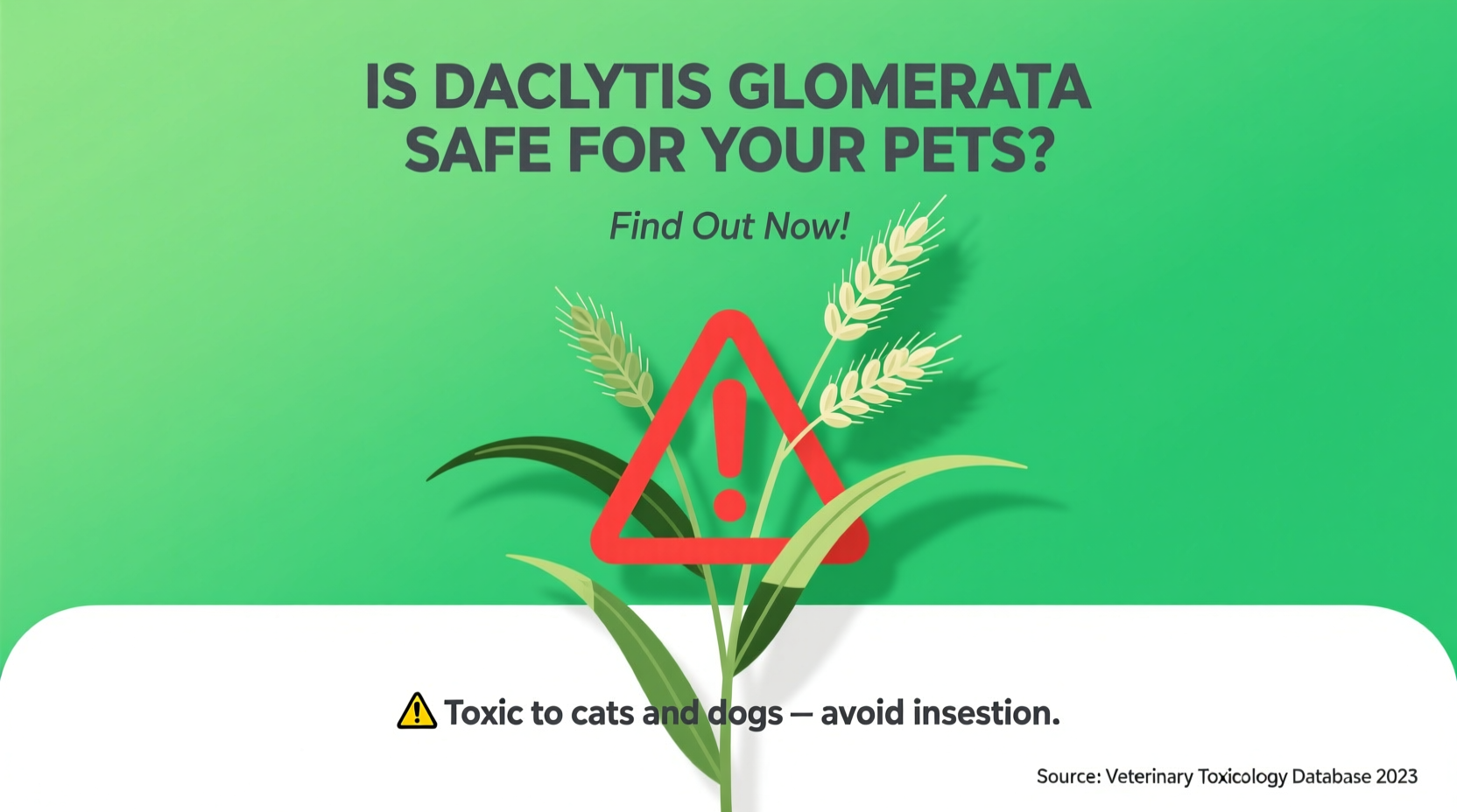 Is Dactylis Glomerata Toxic to Pets? | TheHomeSprouts