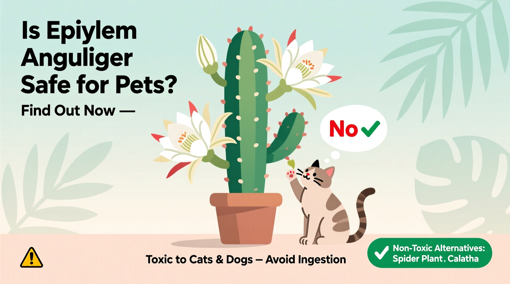 Is Fishbone Cactus Safe for Pets? | TheHomeSprouts