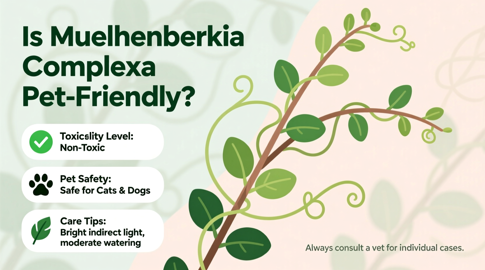 Is Muehlenbeckia Complexa Safe for Pets? | TheHomeSprouts