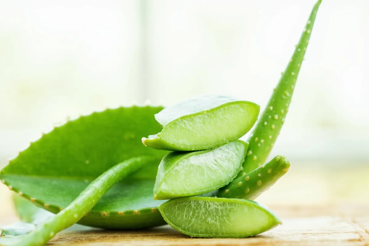 Is Aloe Vera Safe to Eat? 5 Key Facts | TheHomeSprouts