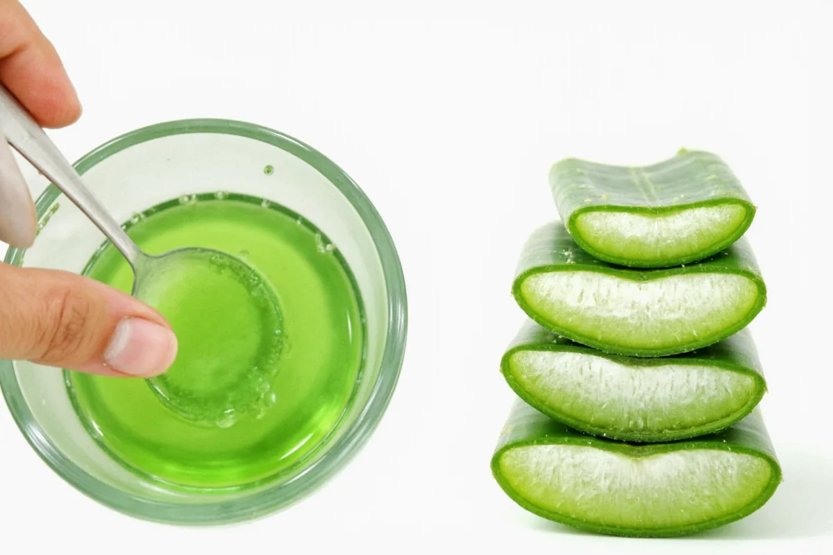 Extract Aloe Vera Gel in 3 Steps | TheHomeSprouts