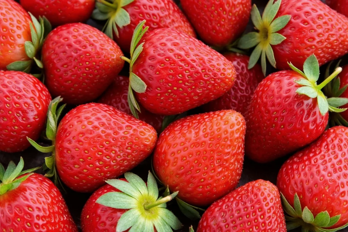 Strawberry Plants: 3-Year Harvest Guide | TheHomeSprouts