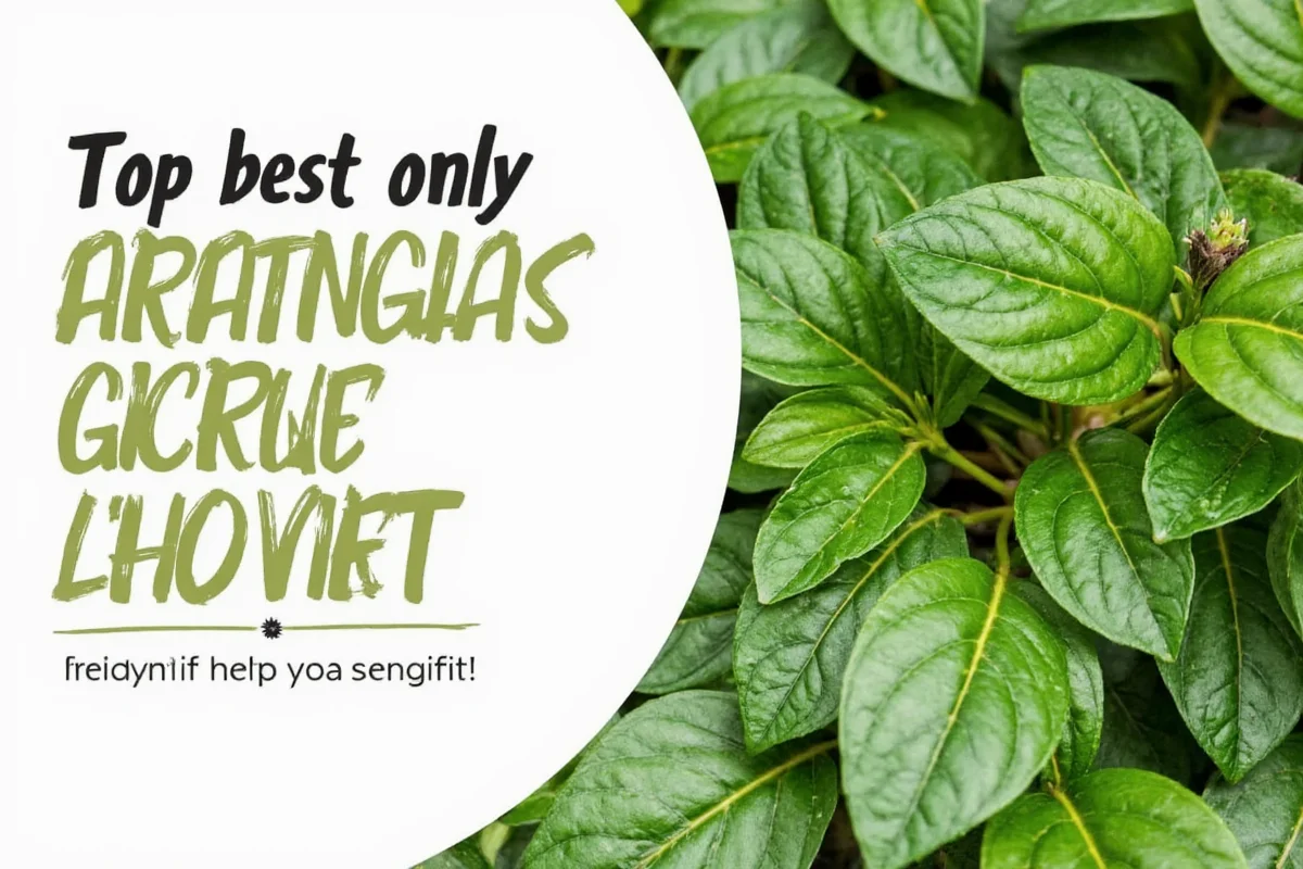 5 Reasons Prayer Plant Leaves Curl | TheHomeSprouts