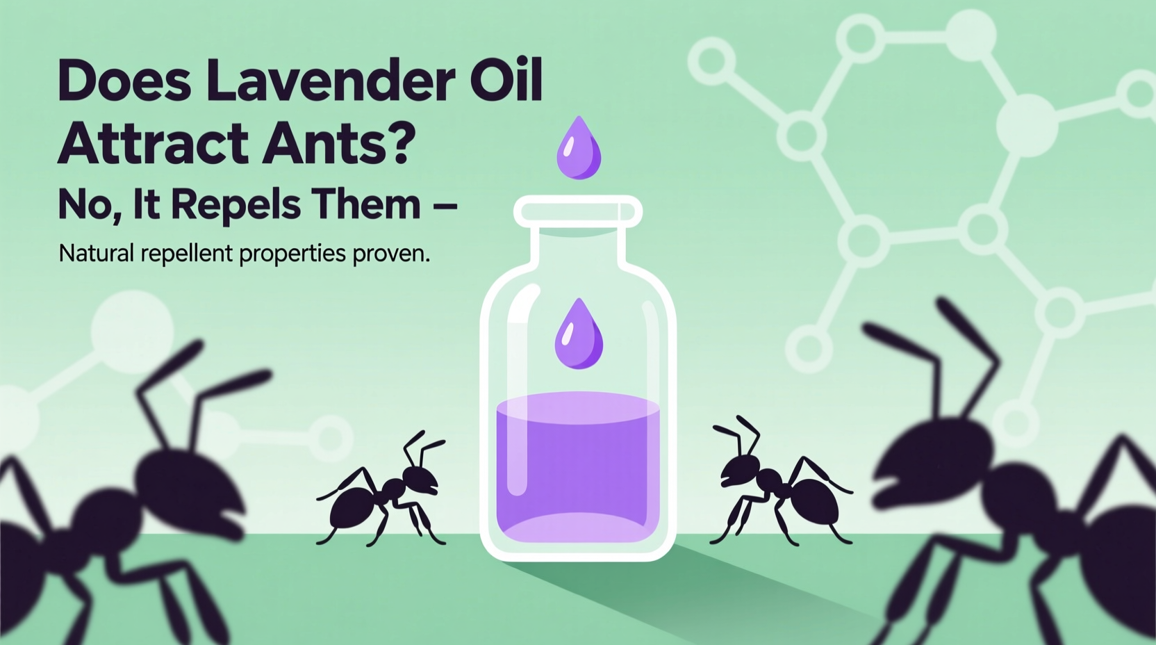 Does Lavender Oil Attract Ants? No, It Repels Them