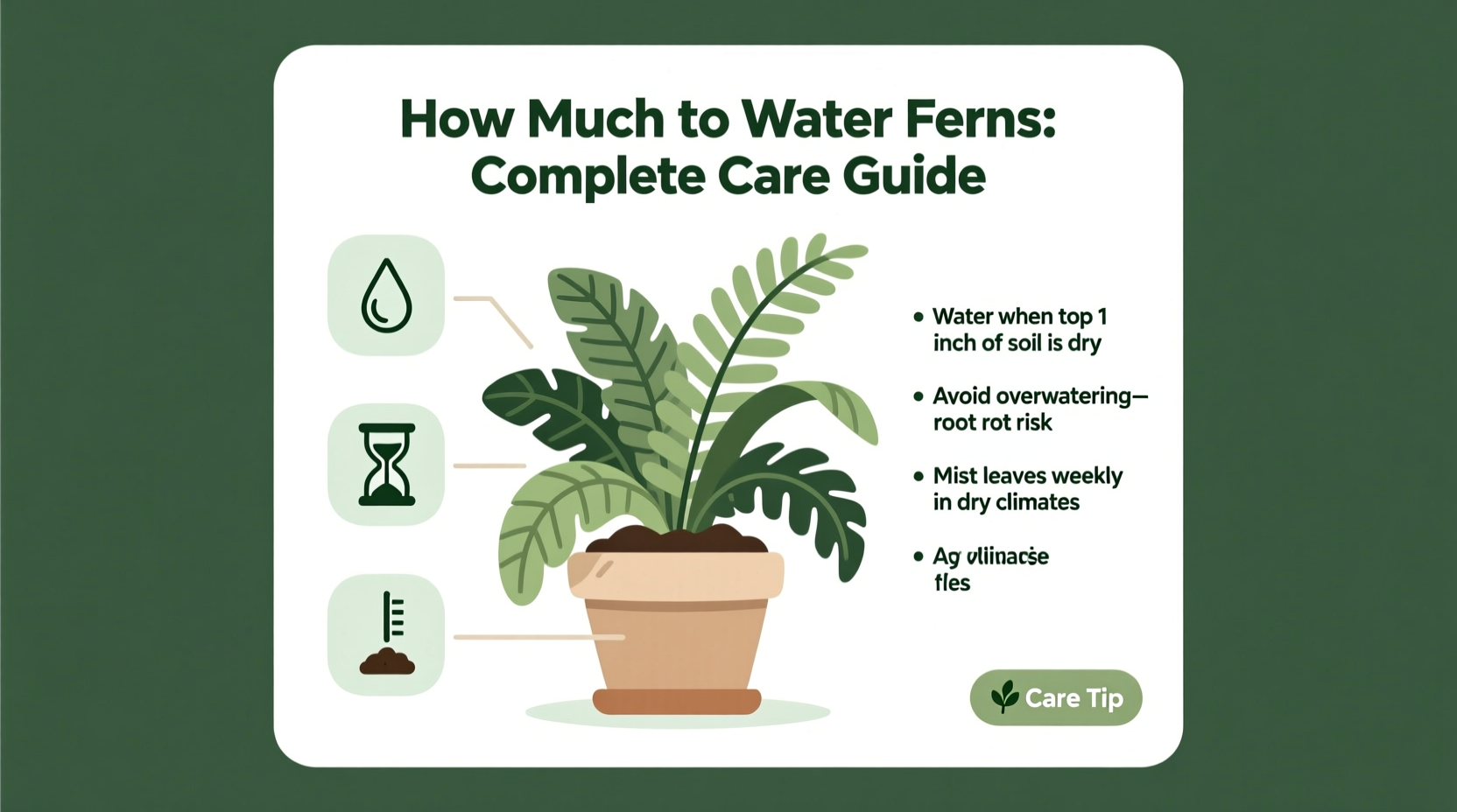 How Much to Water Ferns: Complete Care Guide