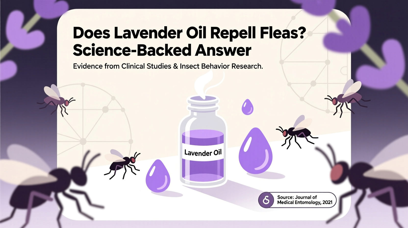 Does Lavender Oil Repel Fleas? Science-Backed Answer