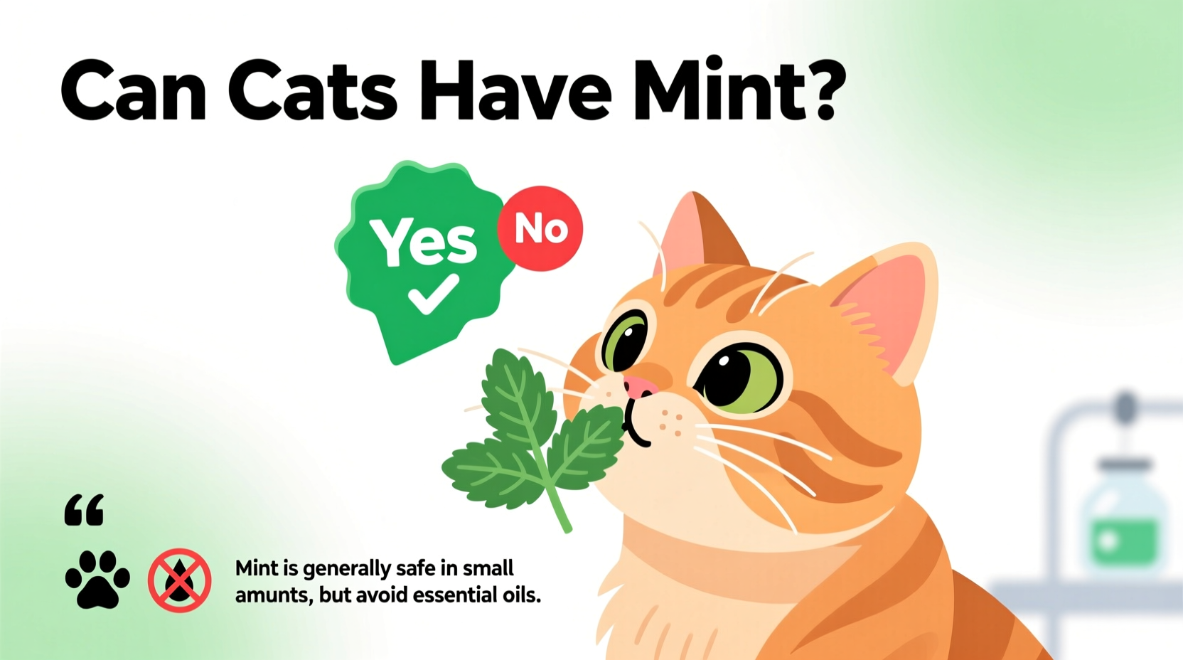Can Cats Have Mint? Safety Guide for Cat Owners