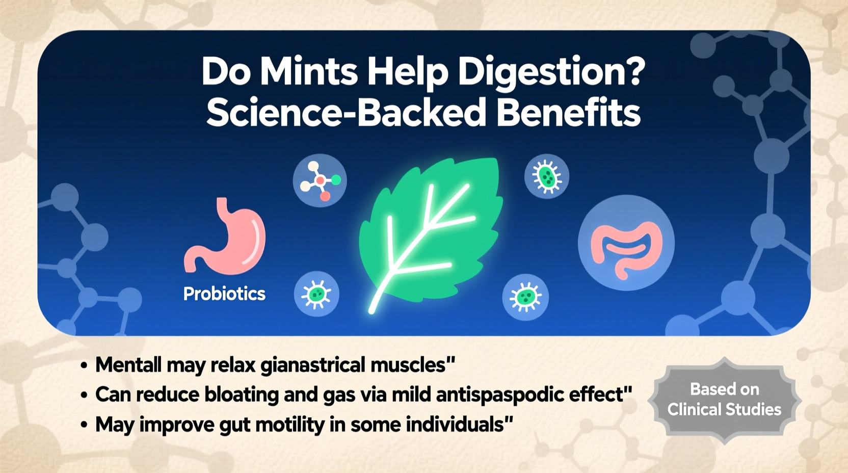 Do Mints Help Digestion? Science-Backed Benefits