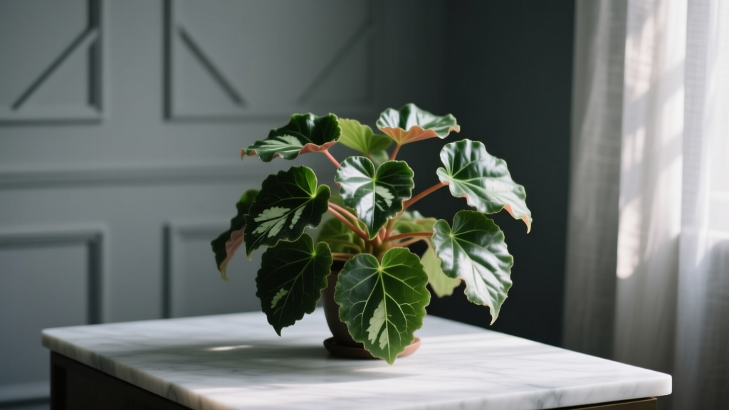 How Do You Care For A Begonia Plant Indoors In Low Light? 7 Science-Backed Adjustments That Save Your Leaves (Most Beginners Skip #4)