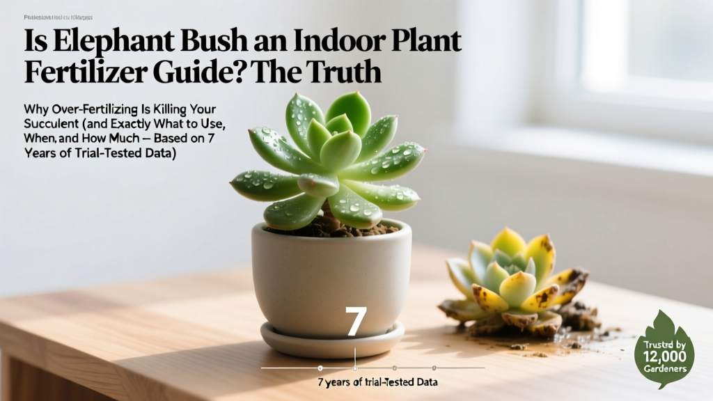 Is Elephant Bush an Indoor Plant Fertilizer Guide? The Truth: Why Over-Fertilizing Is Killing Your Succulent (and Exactly What to Use, When, and How Much — Based on 7 Years of Trial-Tested Data)