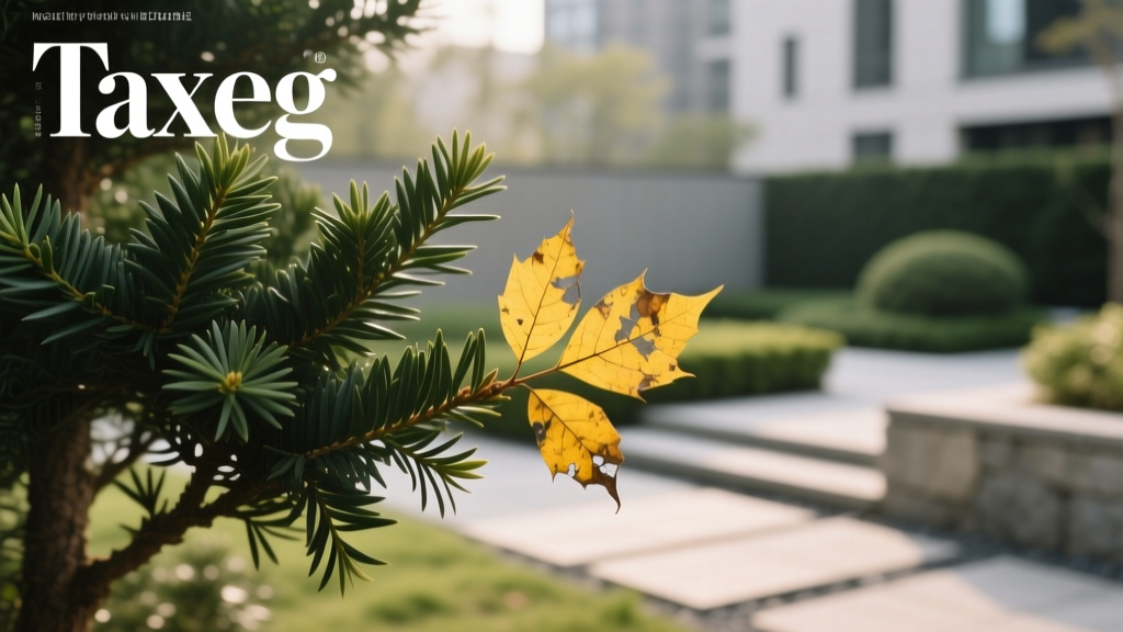 Stop Propagating That Yellow-Leaved Yew—Here’s Why It’s Dangerous, What’s Really Causing the Yellowing, and Exactly How to Propagate Healthy Yews Instead (Step-by-Step with Timing, Tools & Rooting Success Rates)