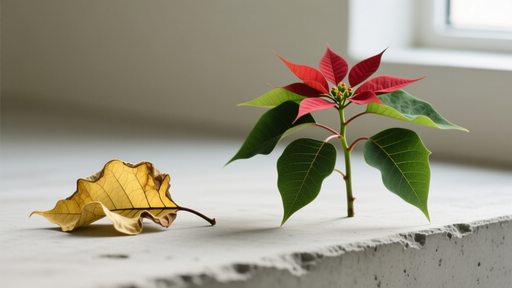 Stop Propagating Sick Poinsettias! Why Yellow Leaves Mean Your Cuttings Will Fail — And Exactly What to Do Instead (3-Step Rescue + Propagation Protocol)